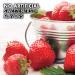 Bluebonnet Liquid Calcium Magnesium Citrate with Vitamin D3 - Natural Strawberry Flavor 16 fl oz - Buy Online on GoSupps.com