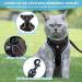 Adjustable Cat Dishes Set - Ergonomic Feeding for Cats & Kittens | Soft Durable Brown (M) - Buy Online on GoSupps.com