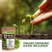 12 Culinary Herb Seeds Variety - USA Grown for Indoor and Outdoor Gardens | Heirloom and Non-GMO Seeds Including Basil, Parsley, Cilantro, Mint, Chives, Thyme, Oregano, Tarragon, Dill, Rosemary, Sage & More - Buy Online on GoSupps.com