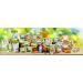 HiPP - Saveurs du Monde - Pommes Poires Fruits du dragon - Coupelles 4x100g - Lot de 6 - BIOLOGIQUE Pommes Poires Fruits du dragon - Lot de 6 24x100g - Buy Online on GoSupps.com