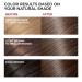 Natural Chestnut Brown Instant Hair Dye Shampoo for Men & Women - Long Lasting Color in 10-15 Minutes - Buy Online on GoSupps.com