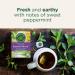 Traditional Medicinals - Organic Smooth Move Peppermint Laxative Herbal Tea (Pack of 1) - Gentle Overnight Relief of Occasional Constipation - 16 Tea Bags Total Smooth Move Peppermint Tea Peppermint 16 Count (Pack of 1) - Buy Online on GoSupps.com