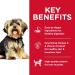 Hill's Science Diet Small Breed Dry Dog Food | Adult Small Paws for Healthy Nutrition - Buy Online on GoSupps.com