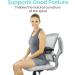 Vive Lumbar Roll - Cervical Cushion Support Pillow for Lower Back Pain Relief | Firm Mesh Bolster for Car, Office Chair, Computer | Posture Corrector Seat Pad - Buy Online on GoSupps.com