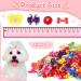 Reginary 300 Pack Dog Bows - Cute Hair Accessories for Girls, Small Puppies - Colorful Grooming Bowknots with Rubber Bands - Perfect Gift for Pets - Buy Online on GoSupps.com