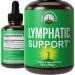 Lymphatic Drainage Drops. Sugar Free 7-in-1 Lymph Detox and Cleanse Support. Vegan Supplement with Echinacea Root, Red Clover Blossom, Burdock Root, Red Root, Cleavers Herb, Licorice Root, and More!
