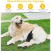 Dog Pet Knee Brace for Support with Cruciate Ligament Injury Joint Pain and Muscle Sore Better Recovery with Dog ACL Knee Brace Adjustable Rear Leg Braces for Dogs Knee Brace (Large) - Buy Online on GoSupps.com