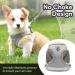 Adjustable Cat Dishes with Leash - Soft Lining Breathable Mesh & Reflective Outdoor Training Set XS (Gray) | International Shipping Available - Buy Online on GoSupps.com