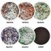 Sparkle Holographic Chameleon Glitter Dip Powder Nail Kit | 6 Colors + Opal Foils | Easy for Starters | Perfect for White & Black Nail Art | SG063 - Buy Online on GoSupps.com