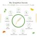 Organic Grapefruit Extract 1200mg - Premium Bioflavonoid 100ml - Bi-Certified & Lab Tested - Buy Online on GoSupps.com
