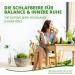 Ashwagandha Tablets 2000mg - 100% Pure Root Powder | Vegan & Gluten-Free | 180 Days Stock | Moriveda - 360 Pressing (3 Pack) for Balance & Inner Rest - Buy Online on GoSupps.com