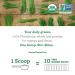 Organic Wheat Grass - Amazing Grass 15 Individual Packets (0.28 oz Each) - Nutrient-Rich Superfood - Buy Online on GoSupps.com