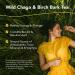 North American Herb & Spice Chag-o-Charge Tea - Chaga Mushroom & Birch Bark - 45 Servings for Energy & Antioxidants (3.2 oz) - Buy Online on GoSupps.com