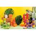 Tropical Fruits Gentle Exfoliating Sugary Scrub & Brush Coconut and Lime 150g - Buy Online on GoSupps.com