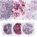 GZMAYUEN Purple Nail Sequins Glitter Powder | 8Pcs Holographic Nail Art Glitter Set for Stunning Nails - Buy Online on GoSupps.com