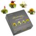 Creano 4 tea flowers in a noble gift box - Teelini white & green tea in cup format White & Green