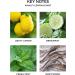 NEST Fragrances Amalfi Lemon & Mint Liquid Hand Soap - 10 oz - Buy Online on GoSupps.com