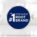 Clairol Root Touch-up 9A Light Ash Blonde Hair Dye 1.1 Fl Oz - Pack of 1 - Buy Online on GoSupps.com
