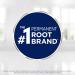 Clairol Root Touch-Up 4G Dark Golden Brown Permanent Hair Dye Pack of 2 - 1.1 Fl Oz - Buy Online on GoSupps.com