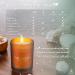 Aromatherapy Palo Santo Candles - Natural Coconut Wax for Stress Relief | Perfect Gifts for Meditation & Yoga | 8.5 oz Essential Oil Candles - Buy Online on GoSupps.com