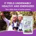 Active Green Pro - Vitality & Brain Powder Blend of Synergistic Herbs Lion's Mane Ginkgo and Vegetables Plant-Based Formula No Fillers No Sugar Added - 40 Servings - Buy Online on GoSupps.com