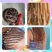 Lusofie 2500Pcs Colorful Hair Elastic Bands Small Clear Elastic Hair Bands Soft Baby Elastic Hair Ties Hair Bands for Girls Kids Braids Hair Wedding Hairstyle Multi-colored( Dark) - Buy Online on GoSupps.com