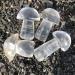 Home Decoration 40-50mm Crystal Mushroom Natural Clear Quartz Mushrooms Lovely Rose Crystal Gemstone Agaric Healing Home Decoration Chakra Stones 1pc