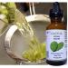 Cactus Vegan Cosmetic Serum | Anti-Aging Natural Moisturizer for Radiant Skin - Buy Online on GoSupps.com