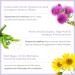 Yon-Ka Age Exception Excellence Code Cr me - Anti-Aging Cream for Mature & Hormonally Imbalanced Skin (1.75 oz) - International Shipping Available - Buy Online on GoSupps.com