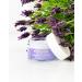 Bielenda SORAYA LAVENDER ESSENCE Regenerating day and night cream with lavender 60+ 50 ml - Buy Online on GoSupps.com