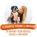 Beneful Prepared Meals Wet Dog Food Chicken Medley - 283 g Tub (8 Pack) - Buy Online on GoSupps.com