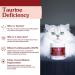 FERA Cardiac Support Supplement | Dogs Cats | Taurine, L-Carnitine, CoQ10, Hawthorn, Vitamin E | Promotes Heart Health & Circulation | 120 Capsules - Buy Online on GoSupps.com