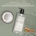 Muse Bath Apothecary Coconut Sandalwood Body Wash - Hydrating Aromatherapy Body Wash for Women & Men - 32oz (2 Pack) - Buy Online on GoSupps.com