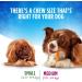 DentaLife Chews Dog Treats for Medium Breed Dogs - 248 g Pouch (1 Pack) 248 g (Pack of 1) - Buy Online on GoSupps.com