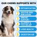 HUALIJIA Itch and Immunity Treats for Dogs Dog Allergy Relief Treats Itchy Dog Skin Relief Anti Itch for Dogs Skin & Coat Healthier for All Breeds and Sizes Peking Duck Flavor (60 Count) - Buy Online on GoSupps.com