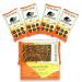 San Diego Bar | Raw Vegan Gluten & Soy Free Nutrition Meal Bar with No Added Sugars - 10g Protein from Only 5 All Natural Whole Food Ingredients. Pecan + Pumpkin Seeds (2.22 Oz Energy Bars 4 Pack) Original Antioxi 4 Pack