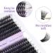 Premium 3D Individual Eyelashes 60p/80p - DIY Cluster Eyelash Extensions D Curl Fluffy Styles (12-16mm) - Perfect for Home Use - Buy Online on GoSupps.com