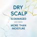  Head & Shoulders Head & Shoulders DERMAXPRO Anti-Dandruff Scalp Treatment 145 ml with aloe vera and hyaluronic acid moisturizing scalp balm 72-hour long-lasting scalp hydration - Buy Online on GoSupps.com