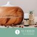 Palo Santo Fruit Oil - 100% Natural & Sustainable Aromatherapy - 5 ml | Borsera Graveolens Extract - Buy Online on GoSupps.com