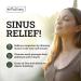Colloidal Silver Nasal Spray 25PPM - EDTA 0.5% for Sinus Support & Clear Airways - 30ml - International Shipping Available - Buy Online on GoSupps.com