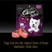 Cesar Softies Filet Mignon Dog Treats 1.13 lb - Delicious Soft Dog Treats - Buy Online on GoSupps.com