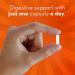 Align Probiotics - Daily Supplement for Digestive Health - 56 Capsules - Buy Online on GoSupps.com