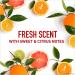Buy Old Spice Fresh Scent Deodorant 3.0 oz - International Shipping Available - Buy Online on GoSupps.com