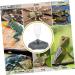 POPETPOP Reptile Water Feeder - Automatic Water Dispenser Waterer Feeding Accessories for Turtle Frog Bearded Dragons Lizards Geckos for Terrarium Tank - Grey - Buy Online on GoSupps.com
