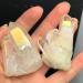 2Pcs Halo Crystal Cluster Quartz Crystal Amazing Rainbow Specimen MineralChakra Home Home Goods