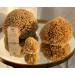 Zerazi | Natural Sea Sponge | 17-18 cm | - Buy Online on GoSupps.com