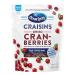 Ocean Spray Craisins Dried Cranberries Original 12 Ounce ResealablePouch