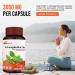 Organic Ashwagandha Capsules 3000mg with Black Pepper Extract - GMP Certified - 120 ct - Natural Supplement - Buy Online on GoSupps.com