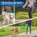 Eyein Double Dog Leash No Tangle - 360 Swivel Heavy Duty Reflective Lead for 2 Small/Medium Dogs, Blue - Dual Handle, Shock Absorbing, Comfortable Walking Training Splitter - M(3kg-16kg) - Buy Online on GoSupps.com