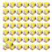 (50pcs) BR-2/3AGCT4A /A98L-0031-0025 6V 4400mAh Replacement Battery Replace for FANUC CNC System with Brown Plug Non-Rechargeable